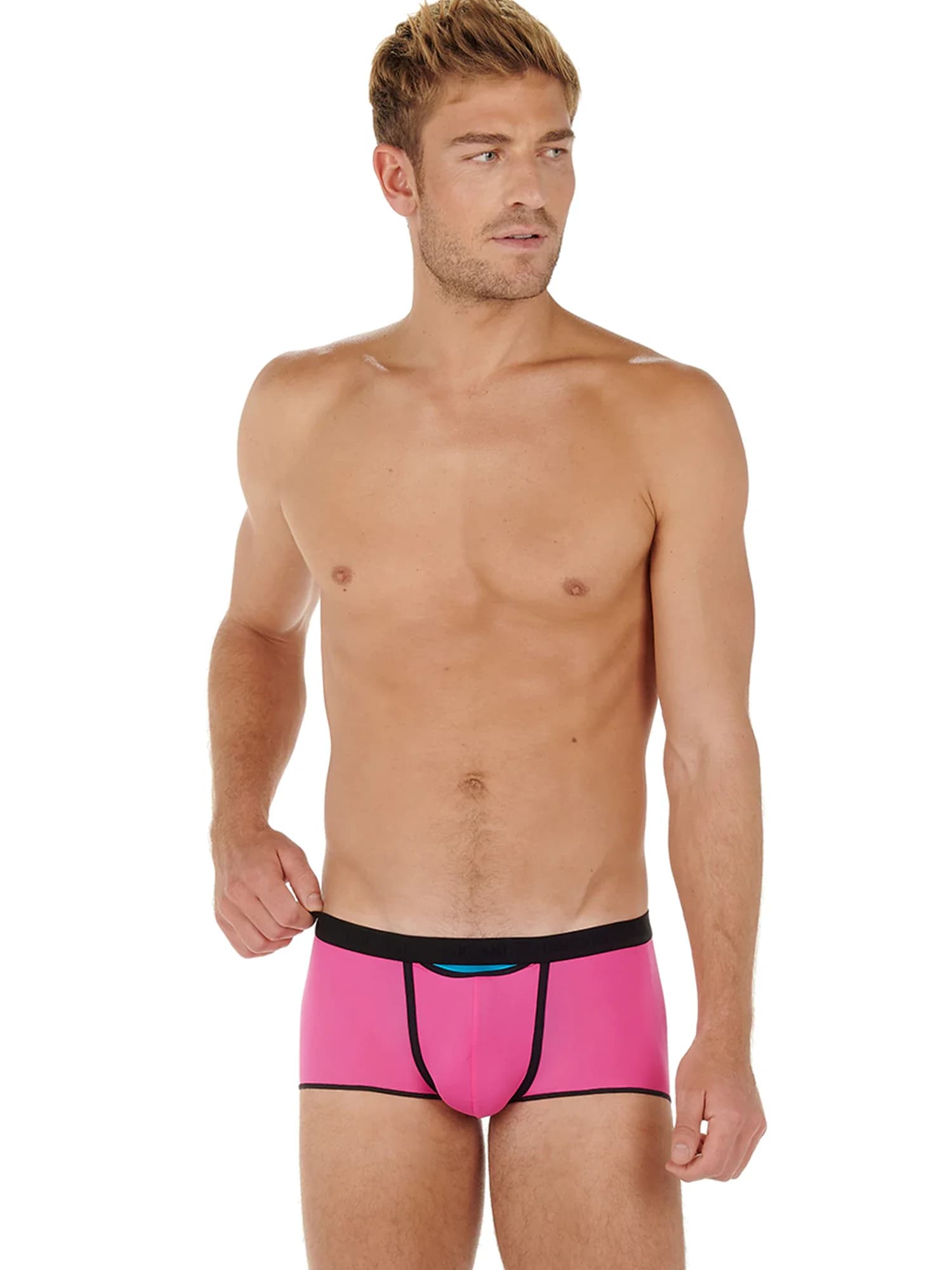 Trunk HO1 - Plume Up